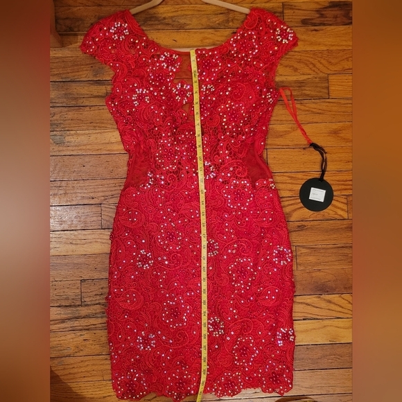 Regina Paris Coquette Lace Dress NWT. Wedding Guest Girly - Picture 11 of 12